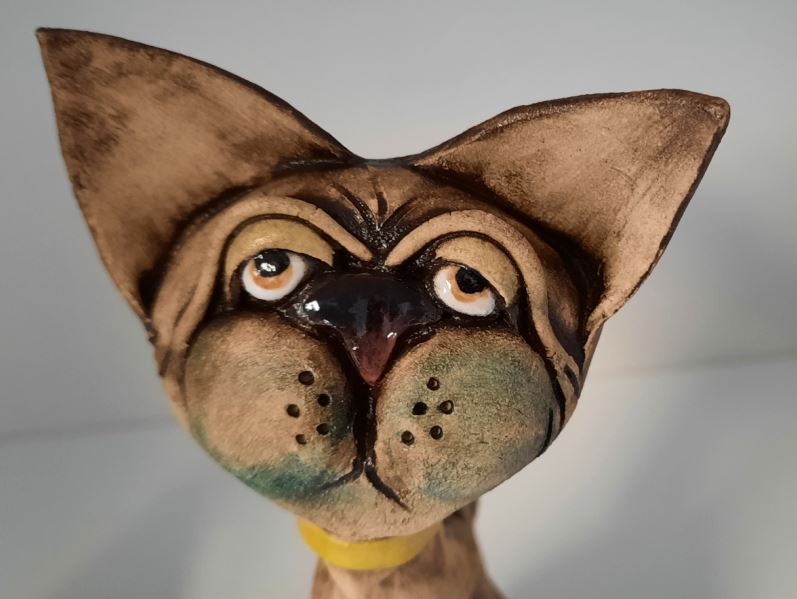 Cat01